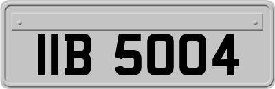 IIB5004