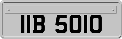 IIB5010