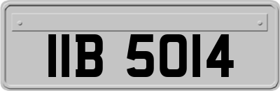 IIB5014