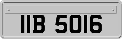 IIB5016