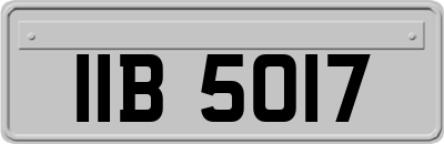 IIB5017