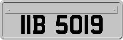 IIB5019