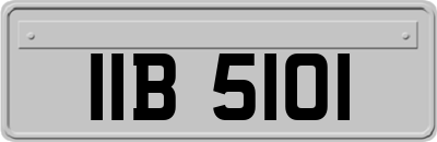 IIB5101