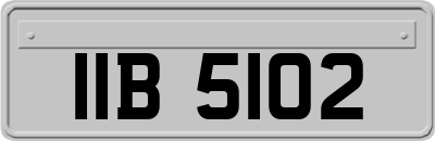 IIB5102