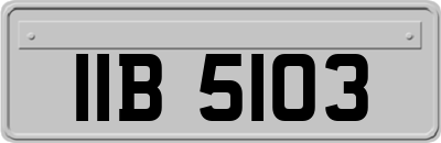 IIB5103