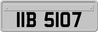 IIB5107