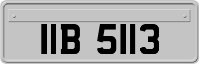 IIB5113