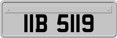 IIB5119