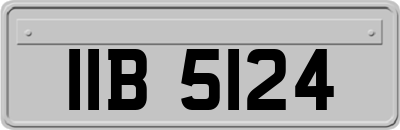 IIB5124