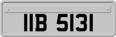 IIB5131