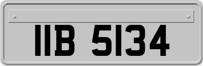 IIB5134