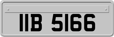IIB5166