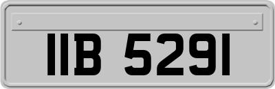 IIB5291