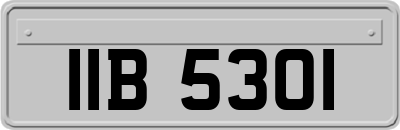 IIB5301