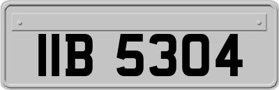IIB5304
