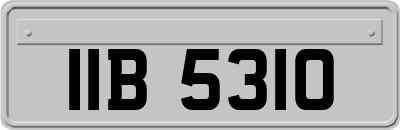 IIB5310