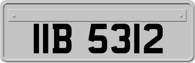IIB5312