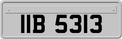 IIB5313