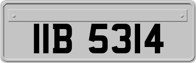 IIB5314