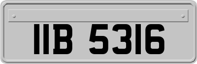 IIB5316