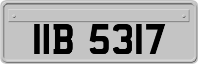 IIB5317