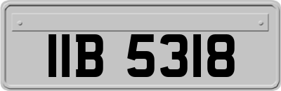 IIB5318