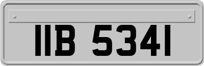 IIB5341