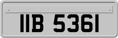 IIB5361