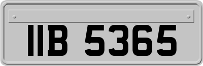 IIB5365