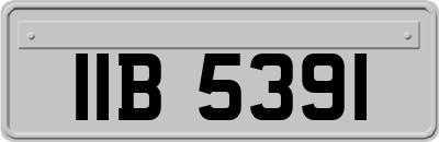 IIB5391