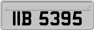 IIB5395