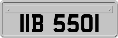 IIB5501
