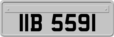 IIB5591
