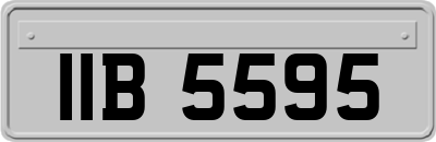 IIB5595
