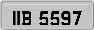 IIB5597