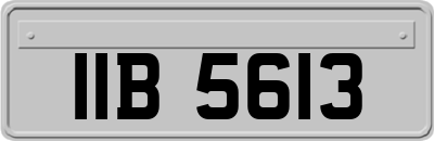 IIB5613
