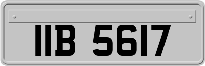 IIB5617
