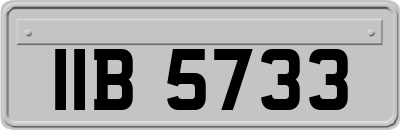 IIB5733