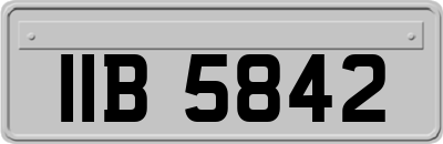 IIB5842