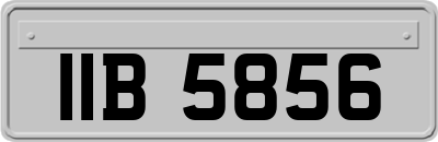 IIB5856