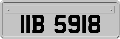 IIB5918