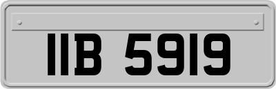 IIB5919