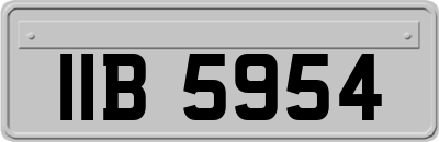 IIB5954