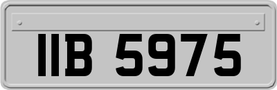 IIB5975