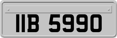 IIB5990