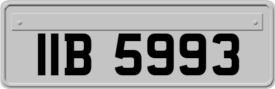 IIB5993