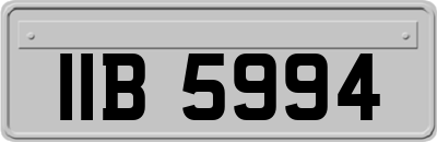 IIB5994