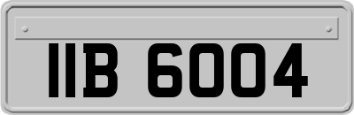 IIB6004