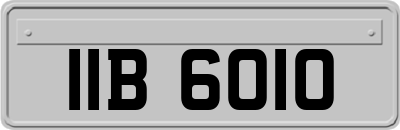 IIB6010