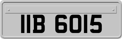IIB6015